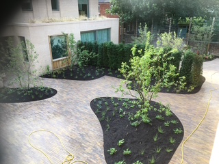 Garden between Office and Residential block landscaping 4