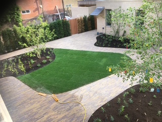 Garden between Office and Residential block landscaping 5