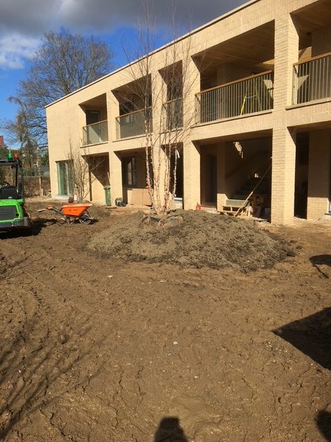Garden between Office and Residential block landscaping