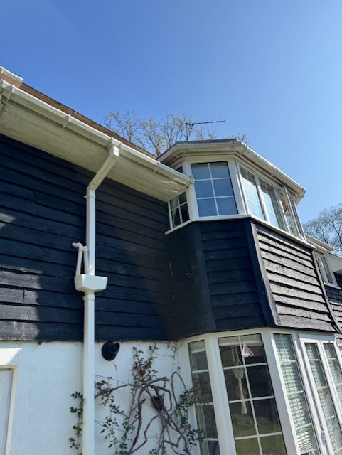 Rear elevation 3